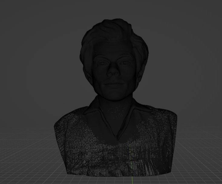 Harry Styles 3D print model_3