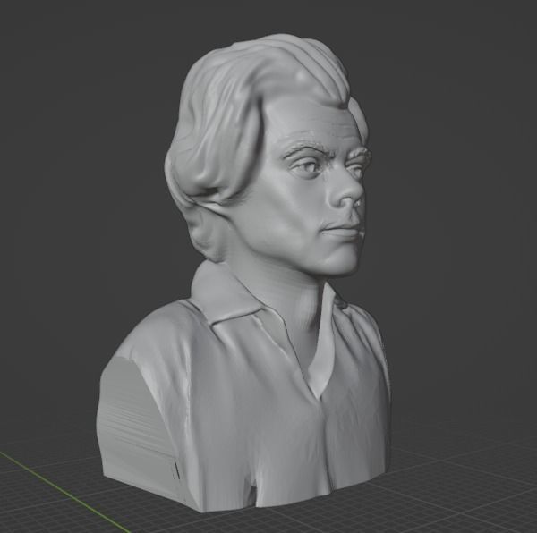 Harry Styles 3D print model_10
