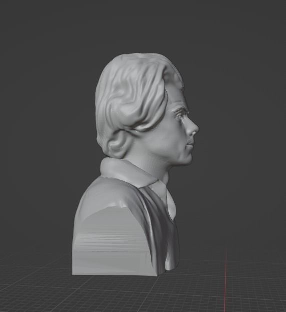 Harry Styles 3D print model_7
