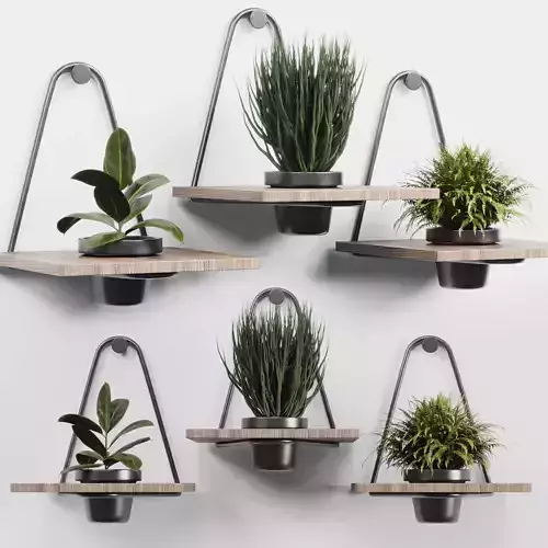 wall plant  set Indoor plant 279 metal wall vase