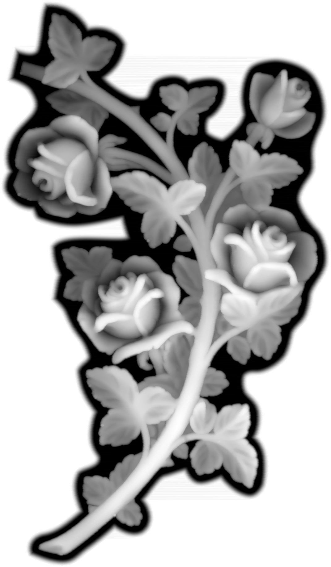 Roses on branch 3D model_3