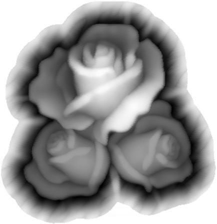 Roses rose tattoos 3D model