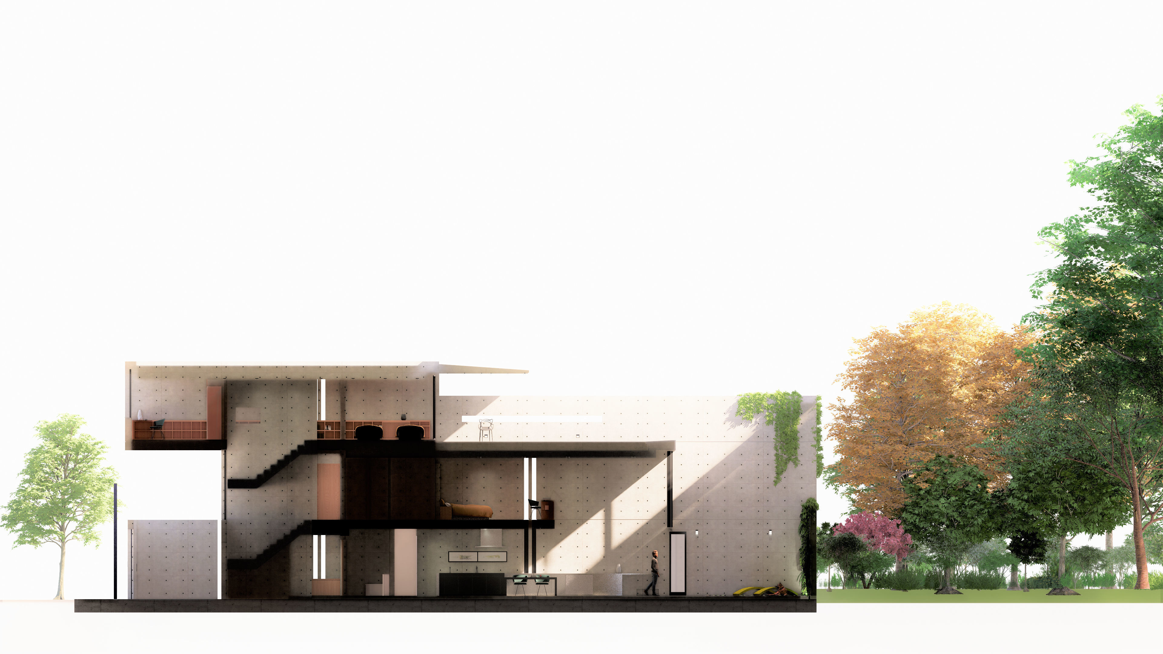 Utsubo Park House - Tadao Ando 3D model_11