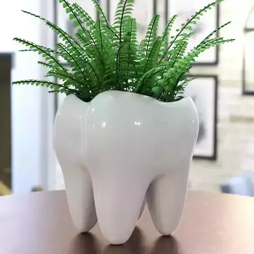 3D Teeth Plants Pot Garden Design