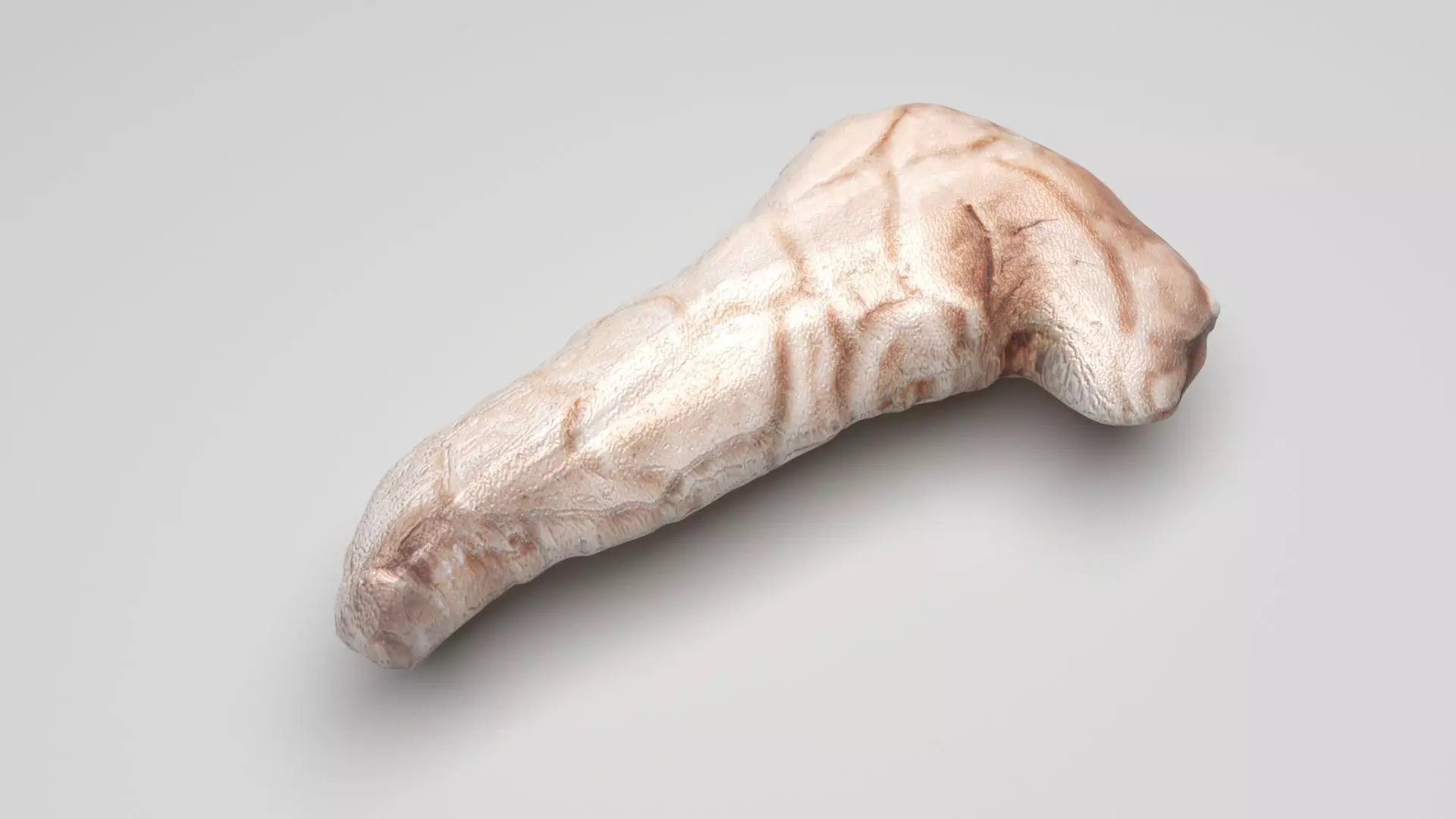 Pancreas 3D model