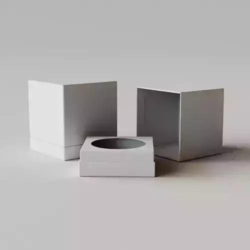 Pedestal Box - Package 3D model