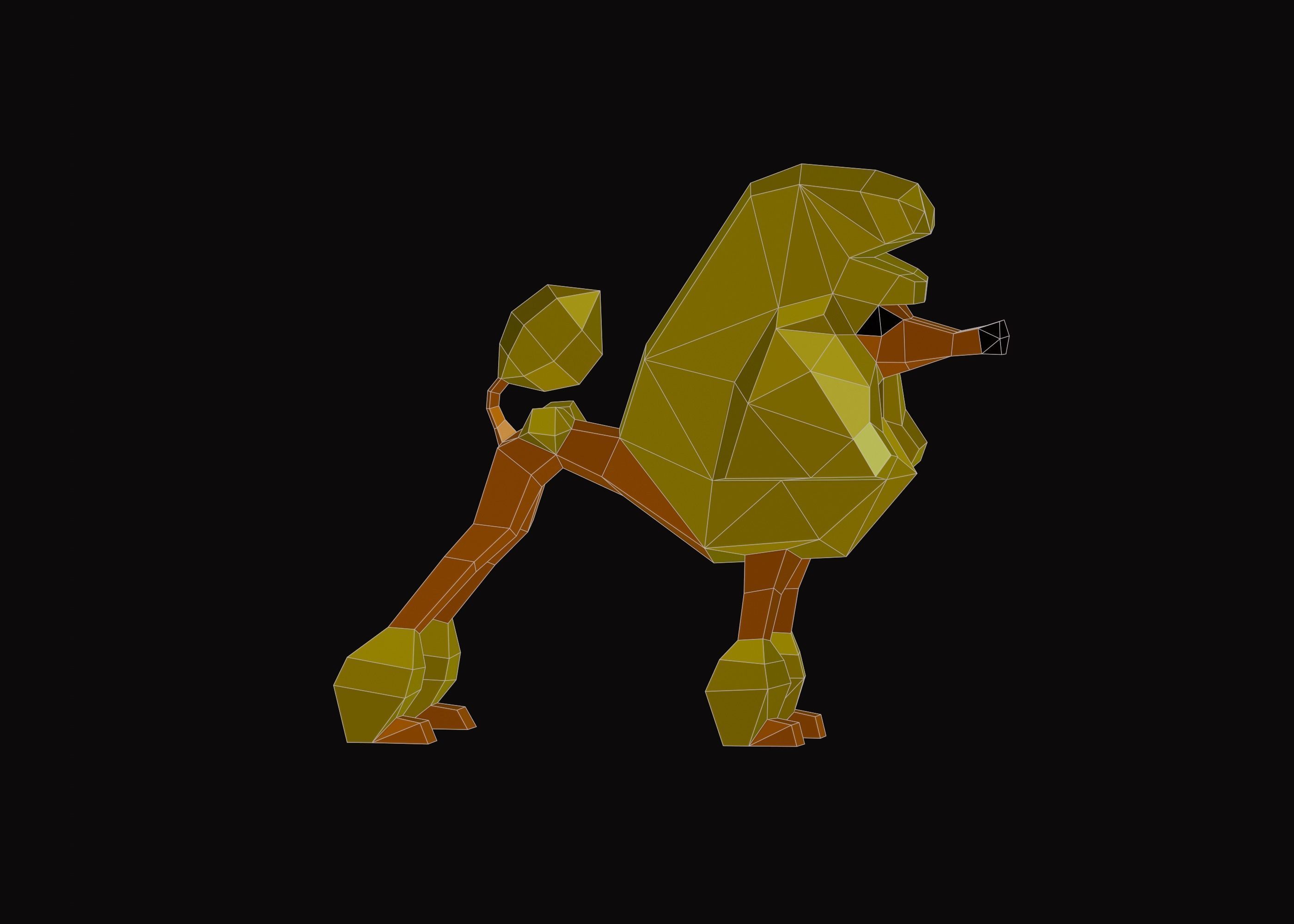 Polygonal Poodle Dog Low-poly 3D model_6