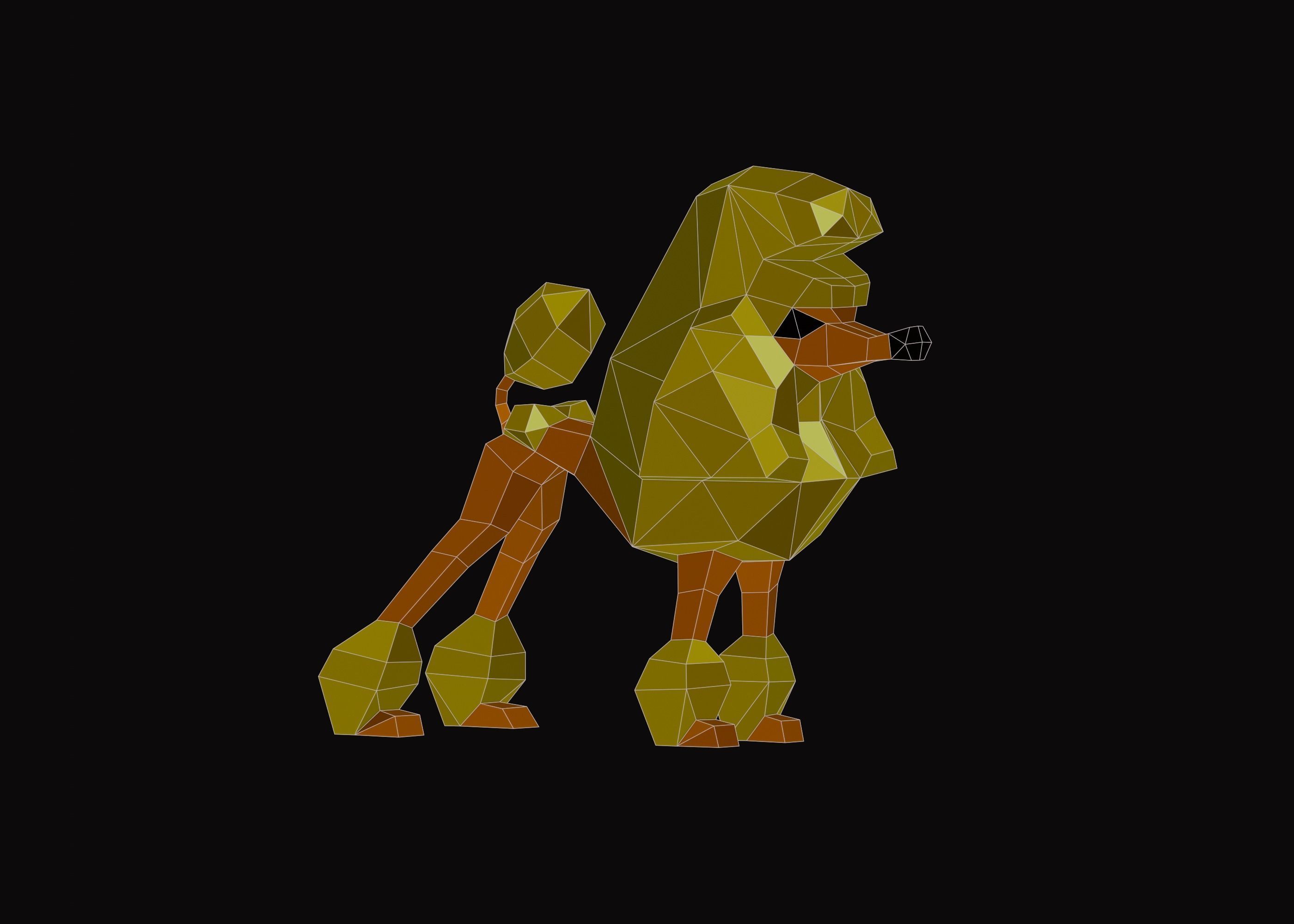 Polygonal Poodle Dog Low-poly 3D model_5