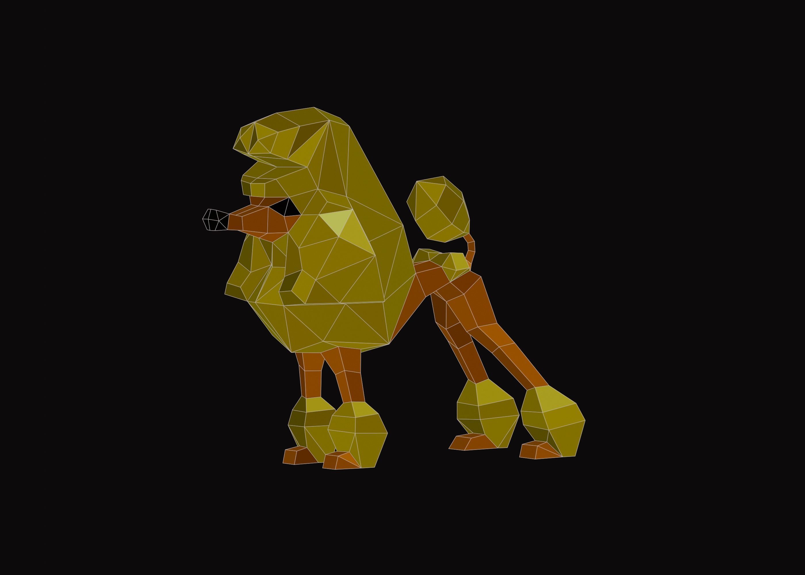 Polygonal Poodle Dog Low-poly 3D model_1