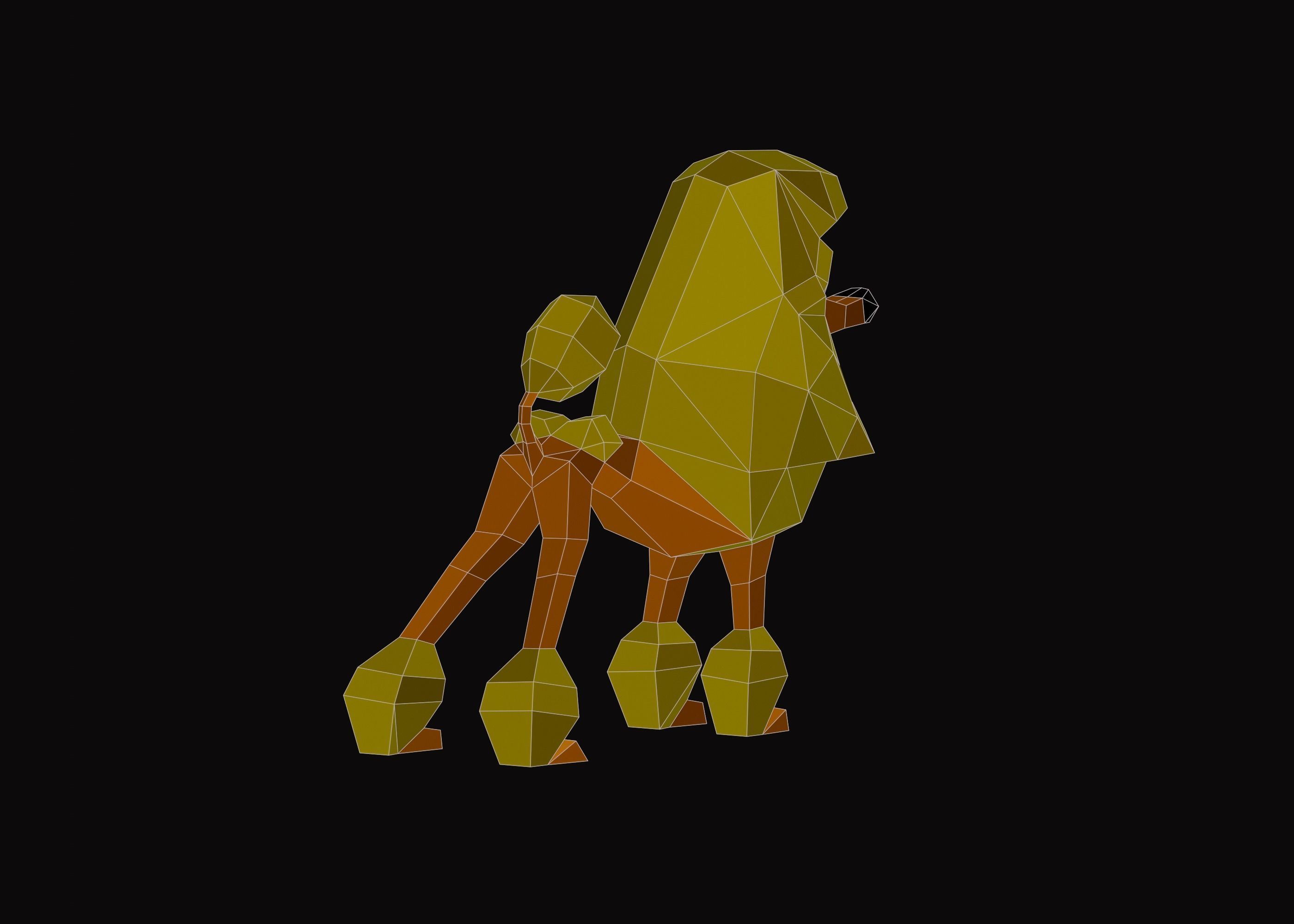 Polygonal Poodle Dog Low-poly 3D model_8