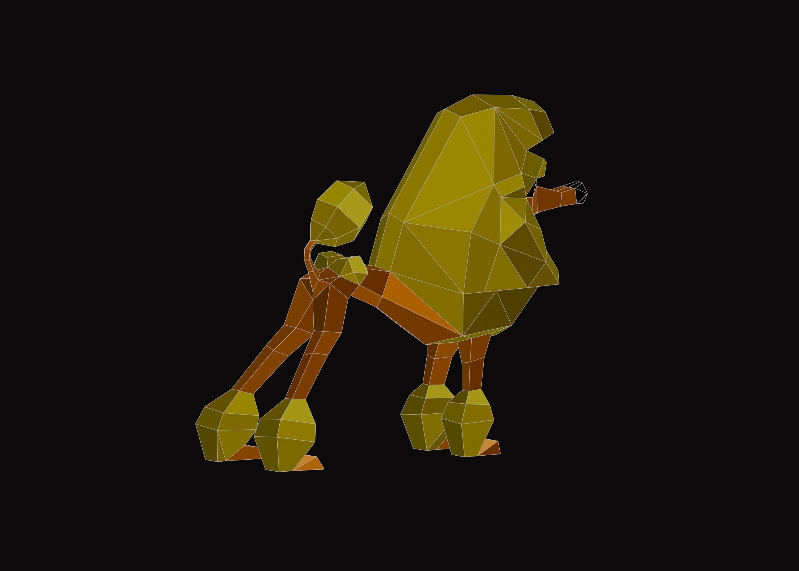 Polygonal Poodle Dog Low-poly 3D model_7