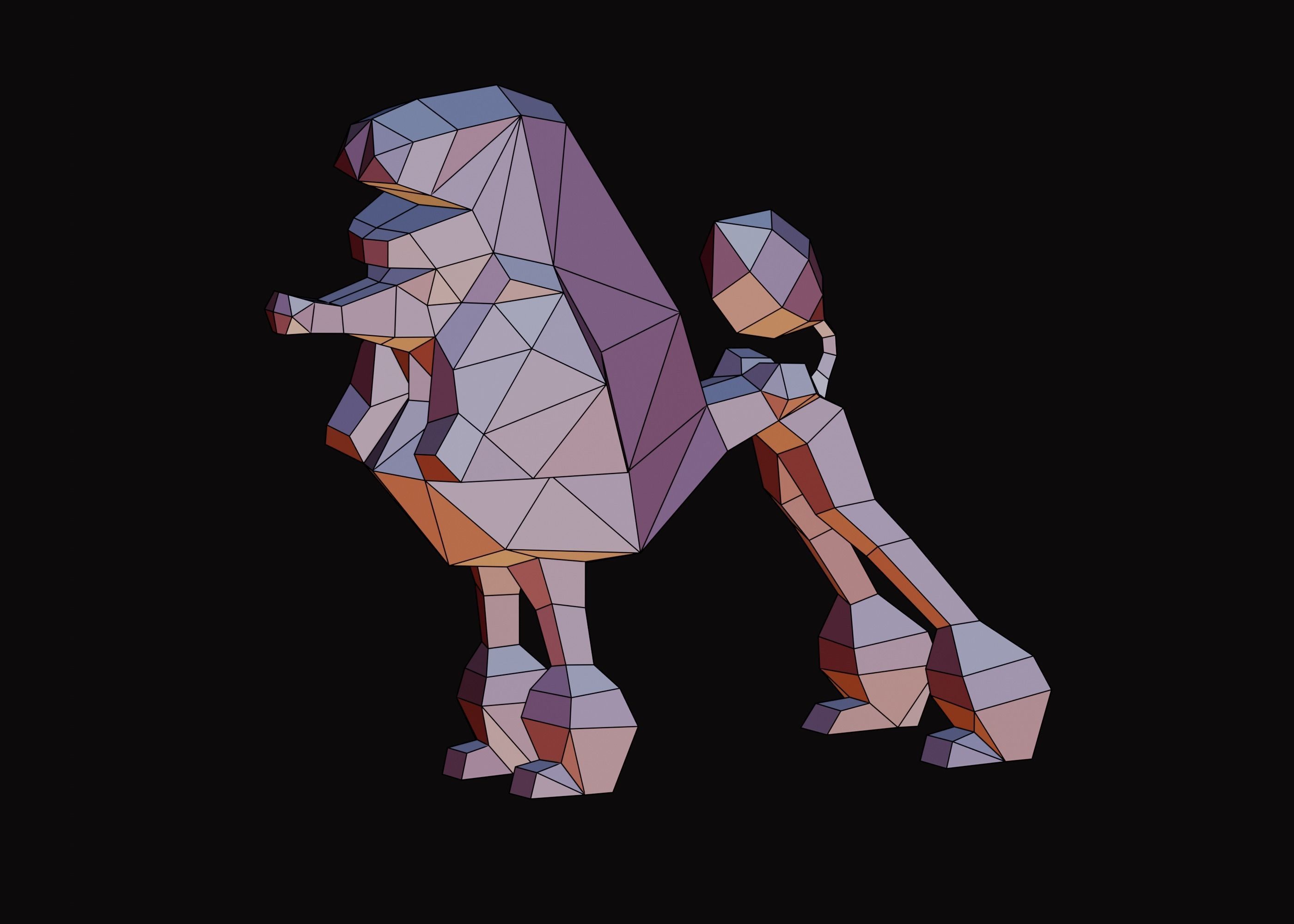 Polygonal Poodle Dog Low-poly 3D model_13