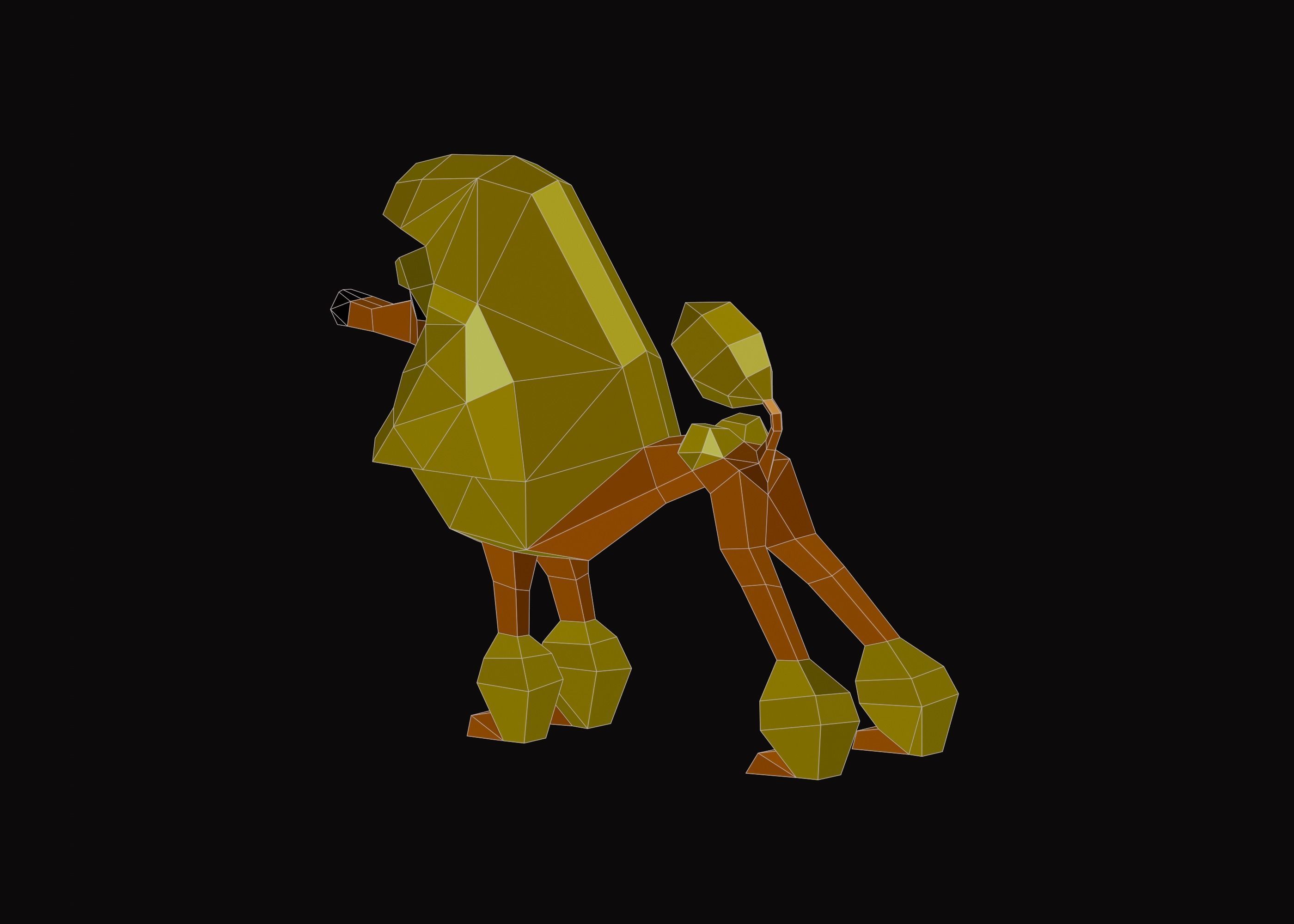 Polygonal Poodle Dog Low-poly 3D model_11