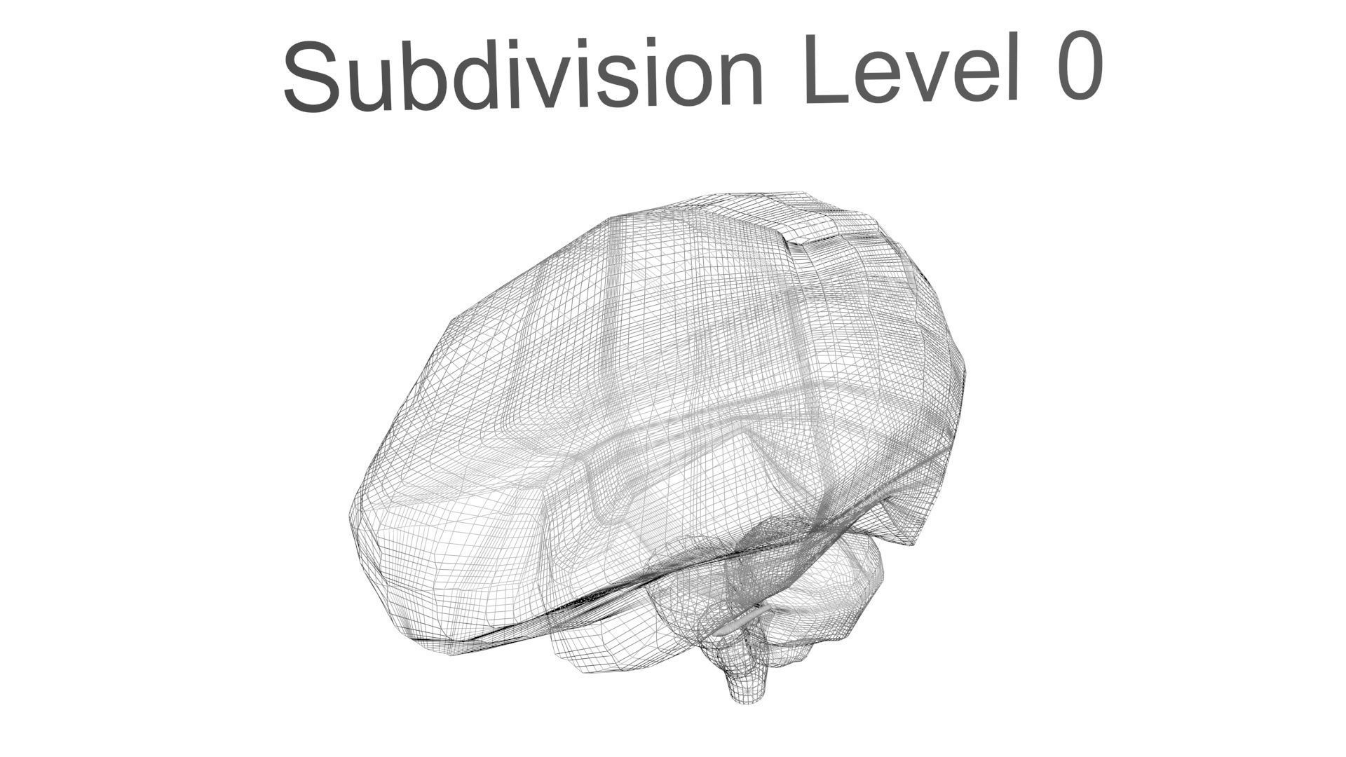 Human Brain 3D model_23