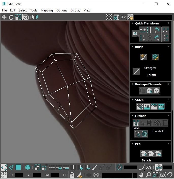 Human Brain 3D model_24
