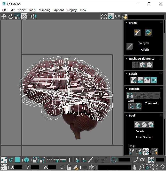 Human Brain 3D model_27