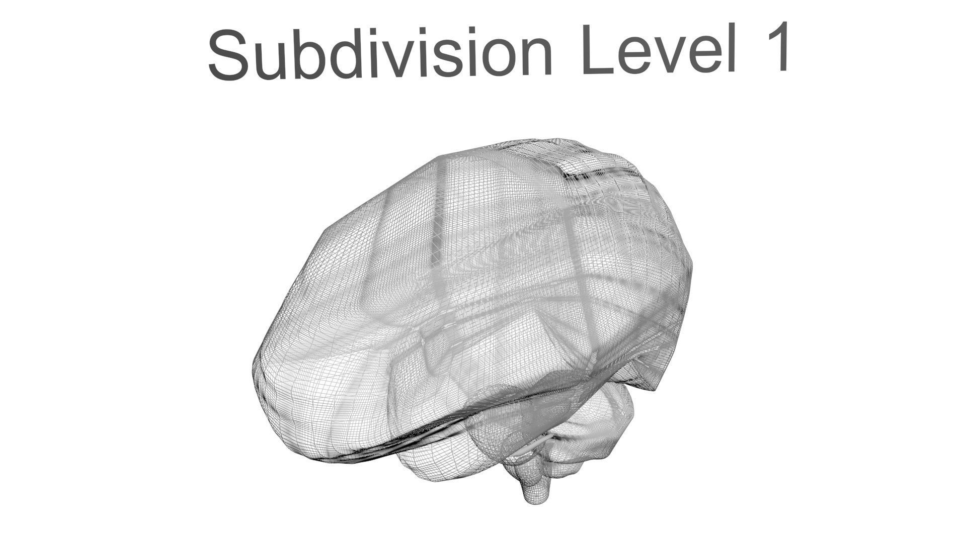 Human Brain 3D model_22