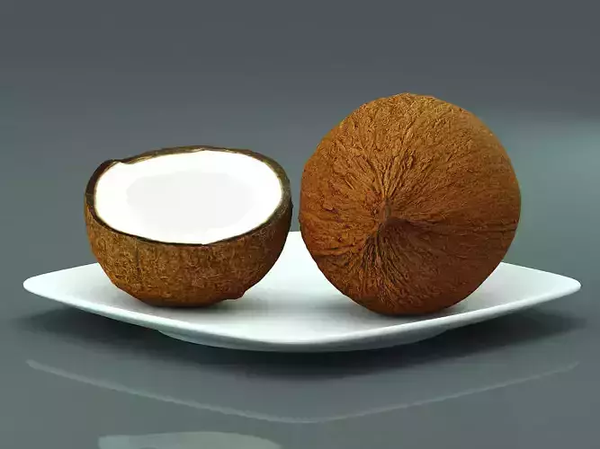 Coconut 3d model two coconuts on plate