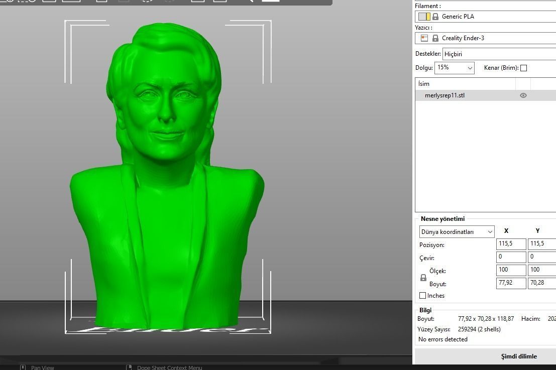 Meryl Streep 3D print model_3