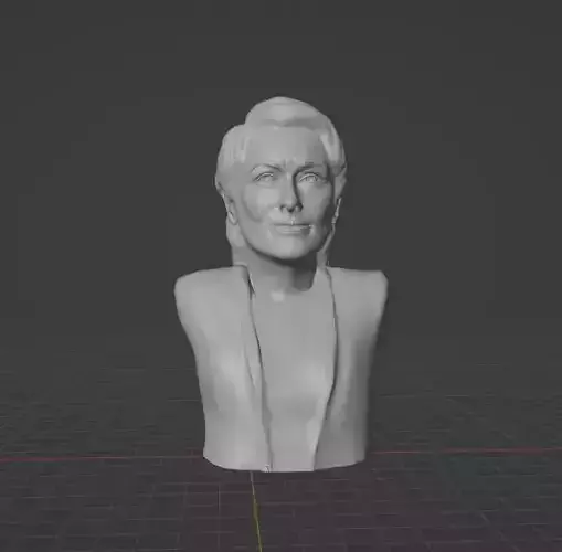 Meryl Streep 3D print model Meryl Streep 3D print model