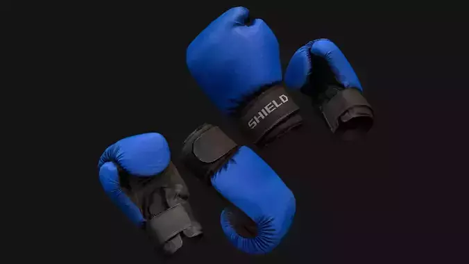 Boxing Gloves Blue