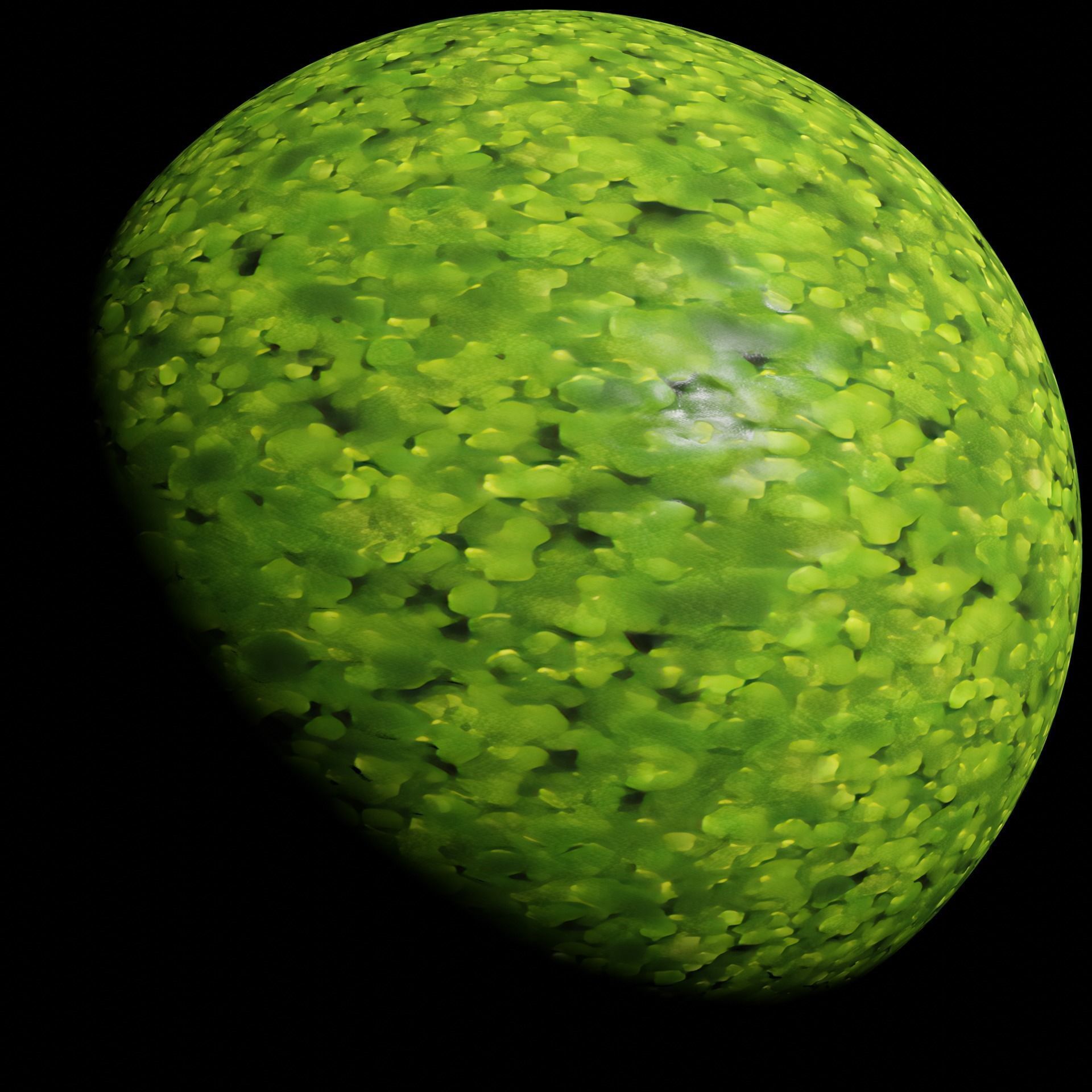 Duckweed - 4K PBR material  Texture_1
