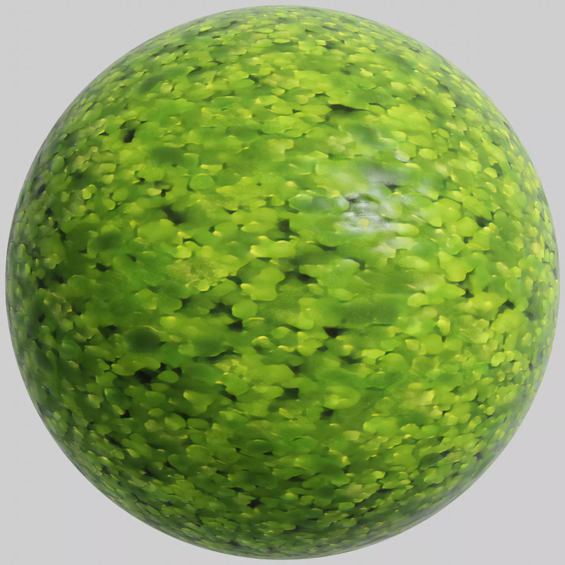Duckweed - 4K PBR material  Texture_0