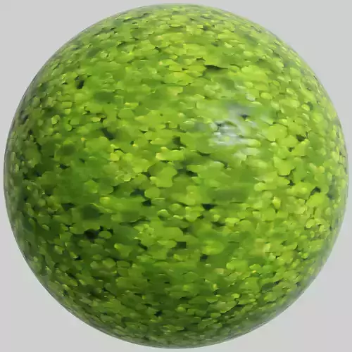 Duckweed - 4K PBR material 