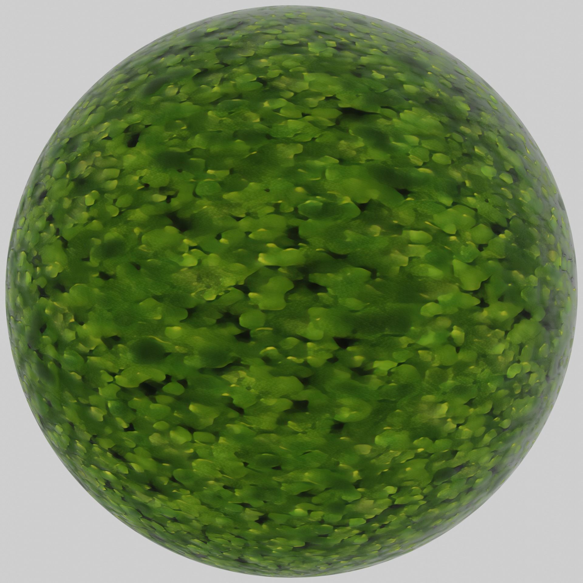 Duckweed - 4K PBR material  Texture_5