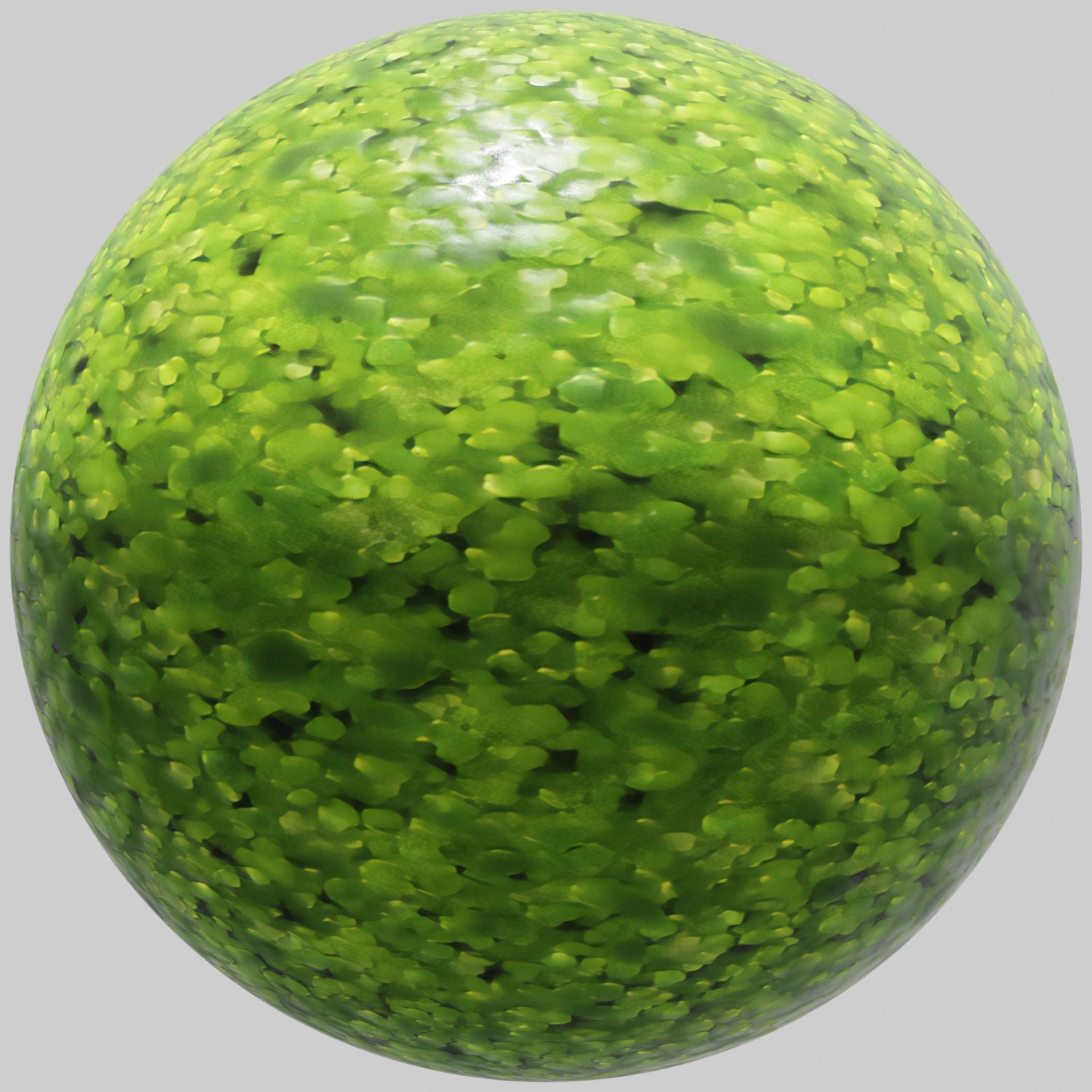 Duckweed - 4K PBR material  Texture_3