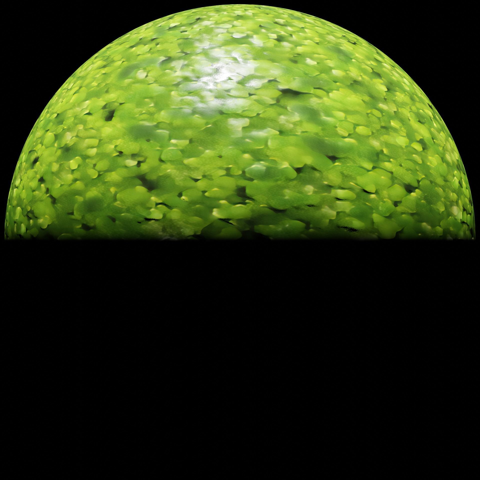 Duckweed - 4K PBR material  Texture_4