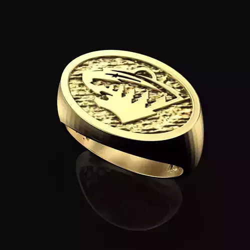 Minnesota Wild Ring Fan signet NHL Hockey 3D print model