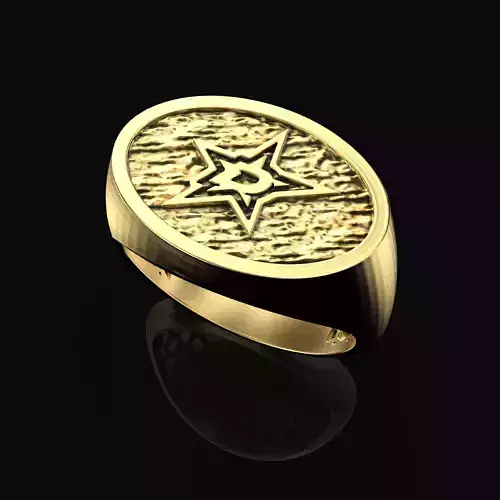 Dallas Stars Ring Fan Rings NHL Hockey Rings 3D print model