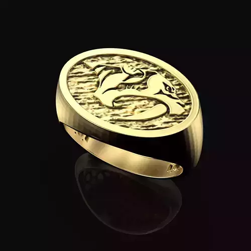 Nashville Predators Ring Fan Rings NHL Hockey Rings