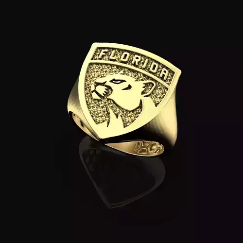 Florida Panthers Ring Fan Rings NHL Hockey Rings 3D print model