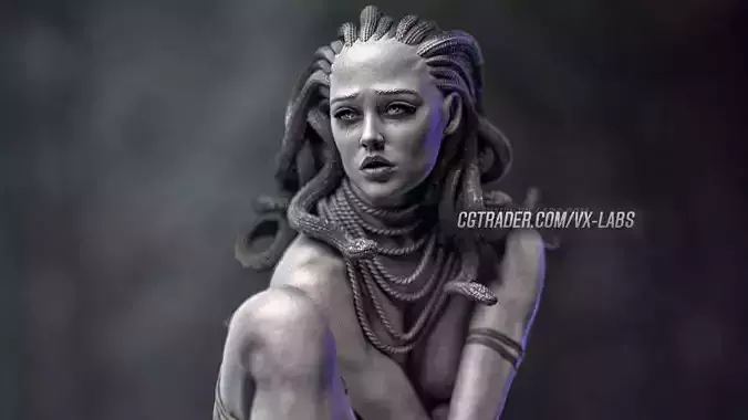 The Hunt for Medusa 3D print model