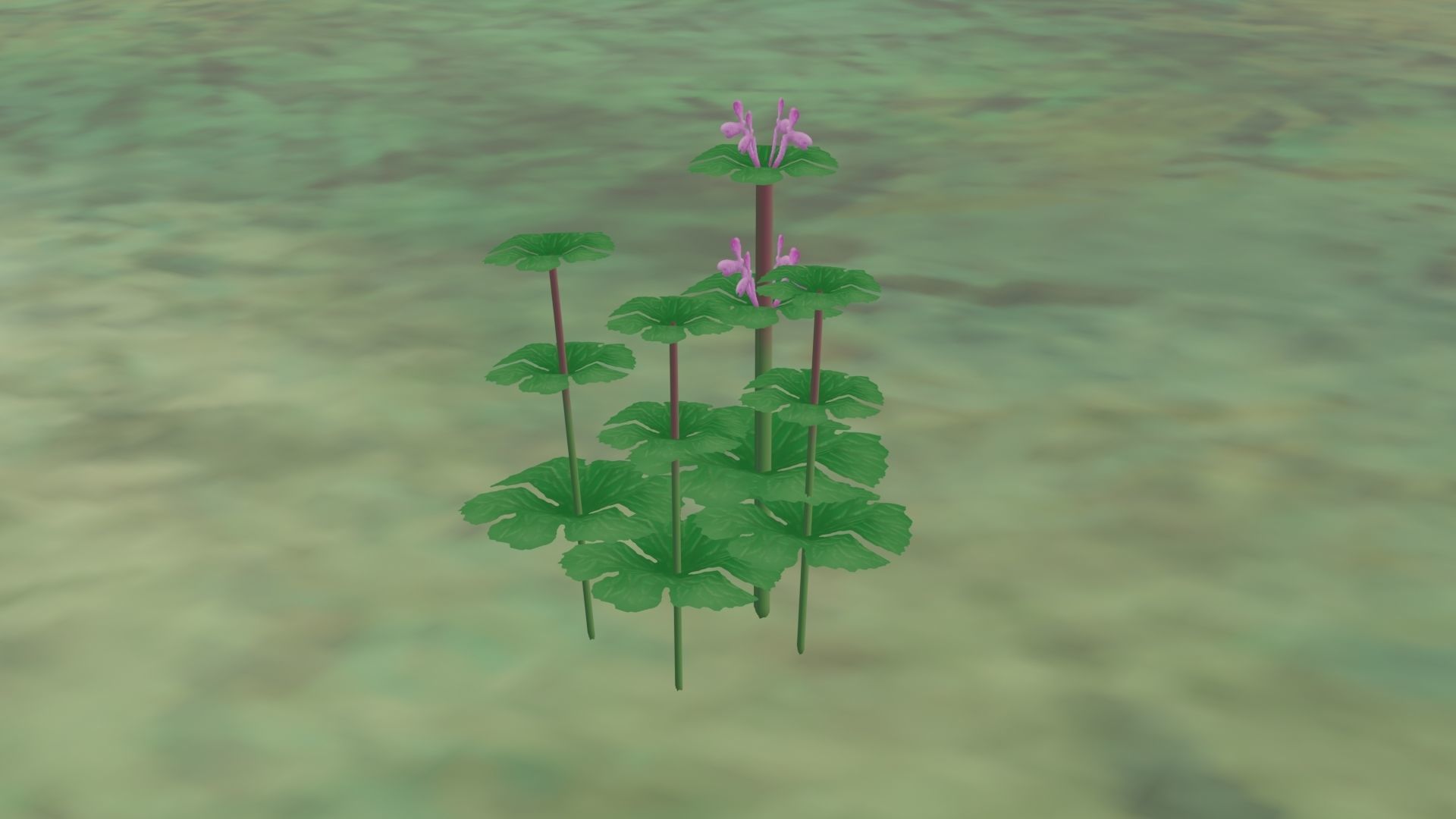 Assortment of 5 flower assets Free low-poly 3D model_4