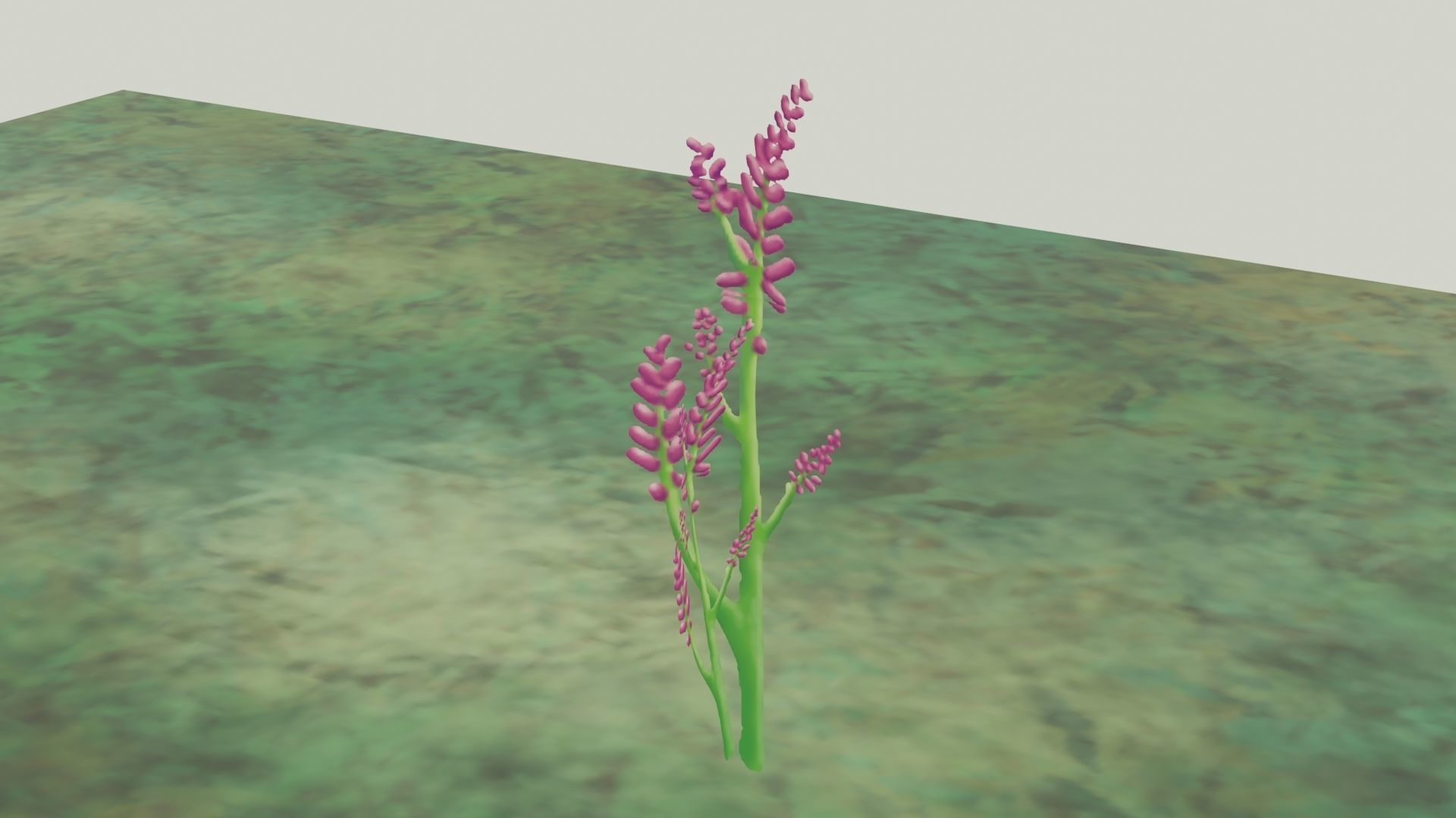 Assortment of 5 flower assets Free low-poly 3D model_3