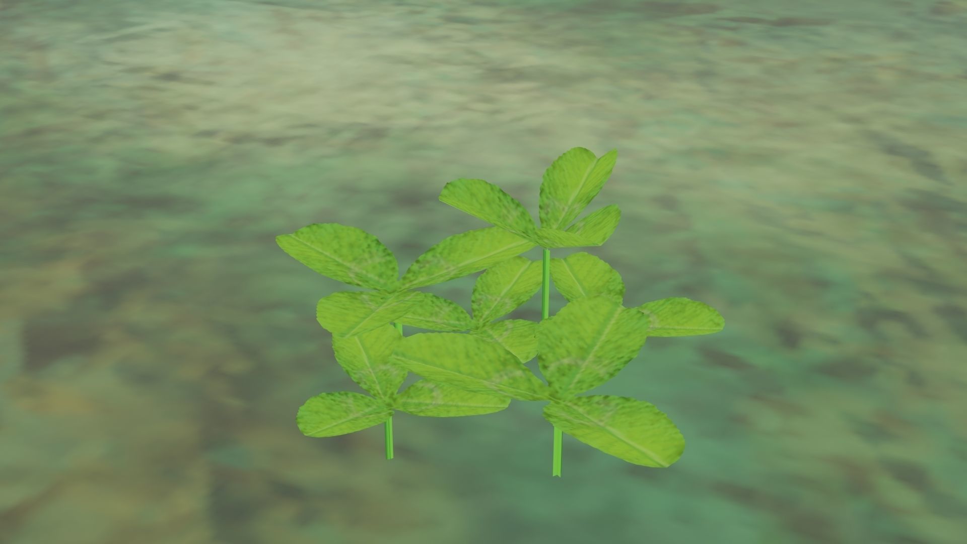 Assortment of 5 flower assets Free low-poly 3D model_2