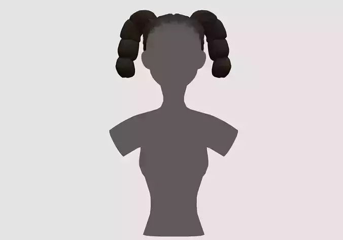Short Ponytails Hairstyle 