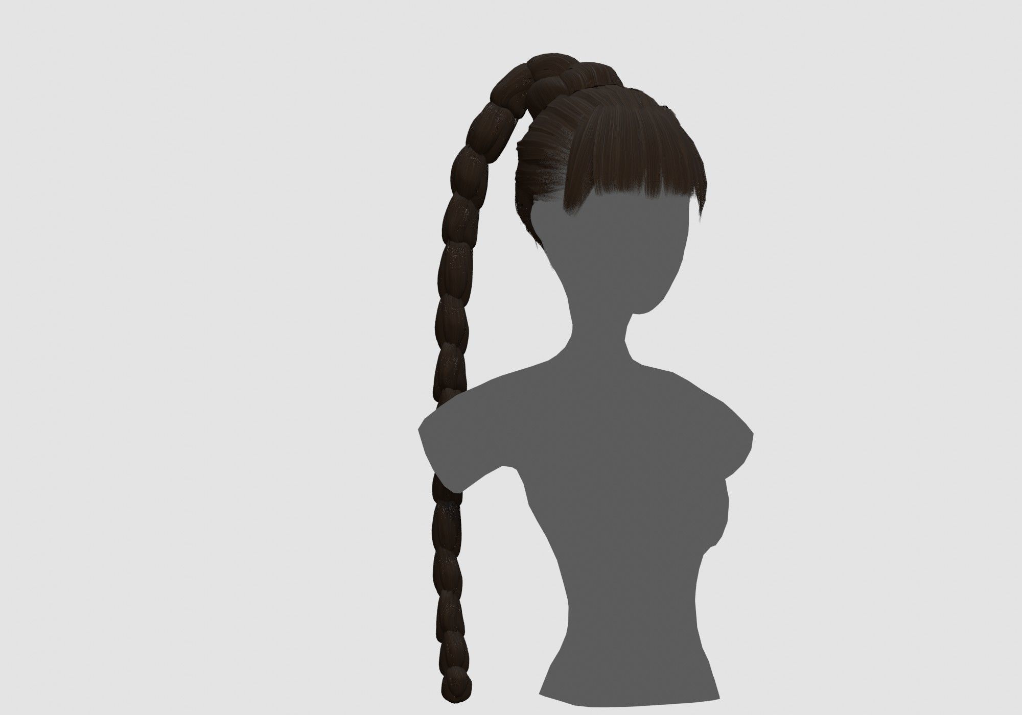 Long Ponytail Hairstyle 3D model_1