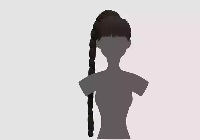 Long Ponytail Hairstyle 