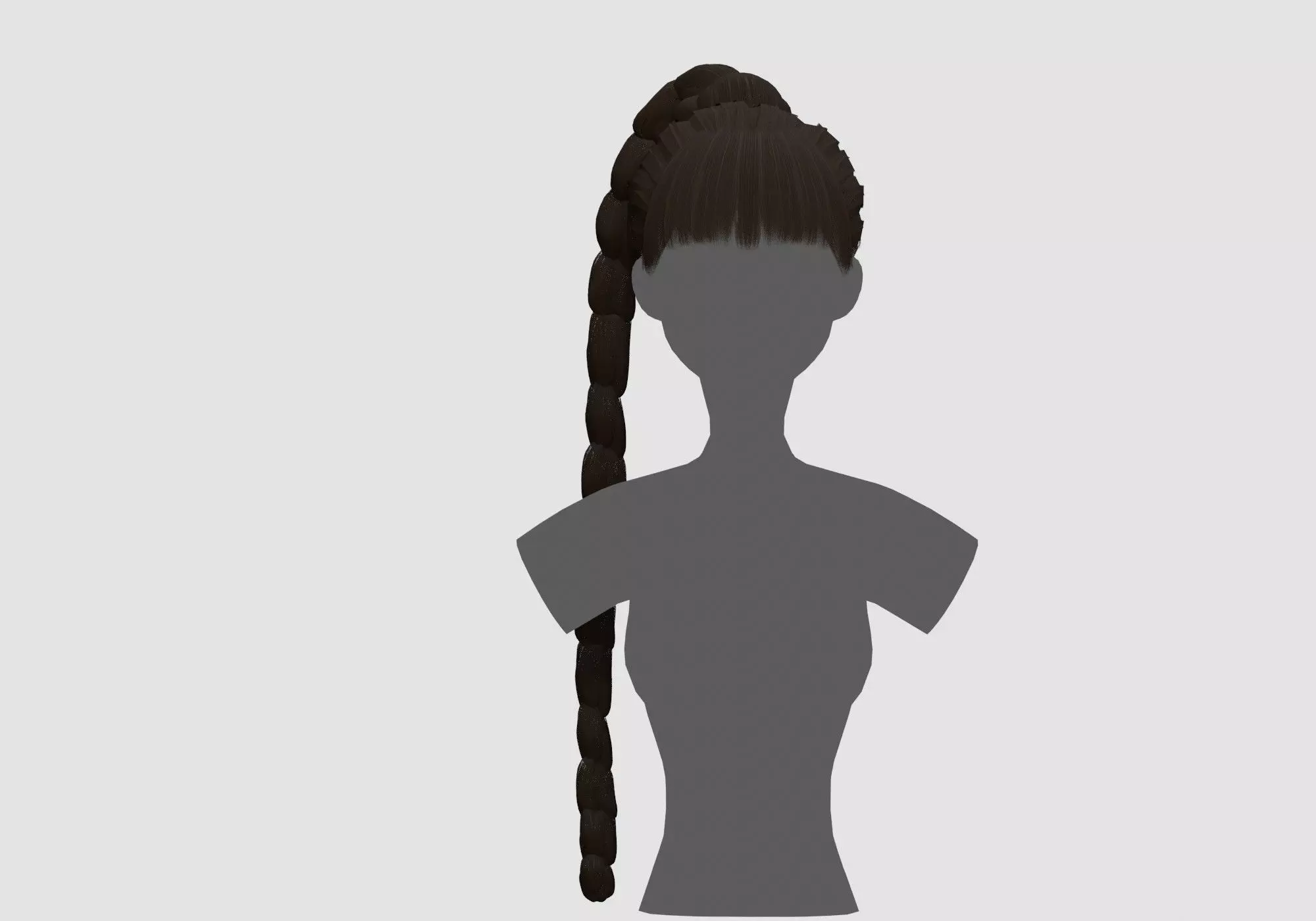 Long Ponytail Hairstyle 3D model_0