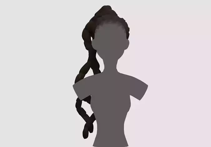 Long Pigtail Hairstyle 