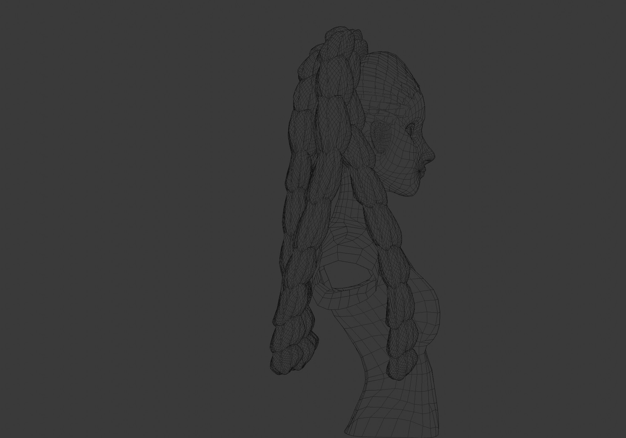 Long Female Hairstyle 3D model_7