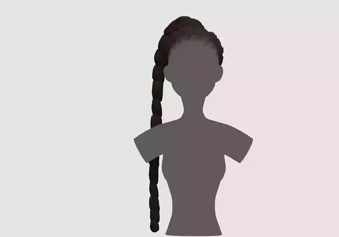 Female Ponytail Hairstyle 