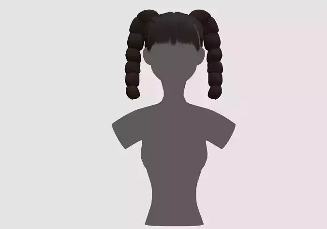 Basic Ponytails Hairstyle 