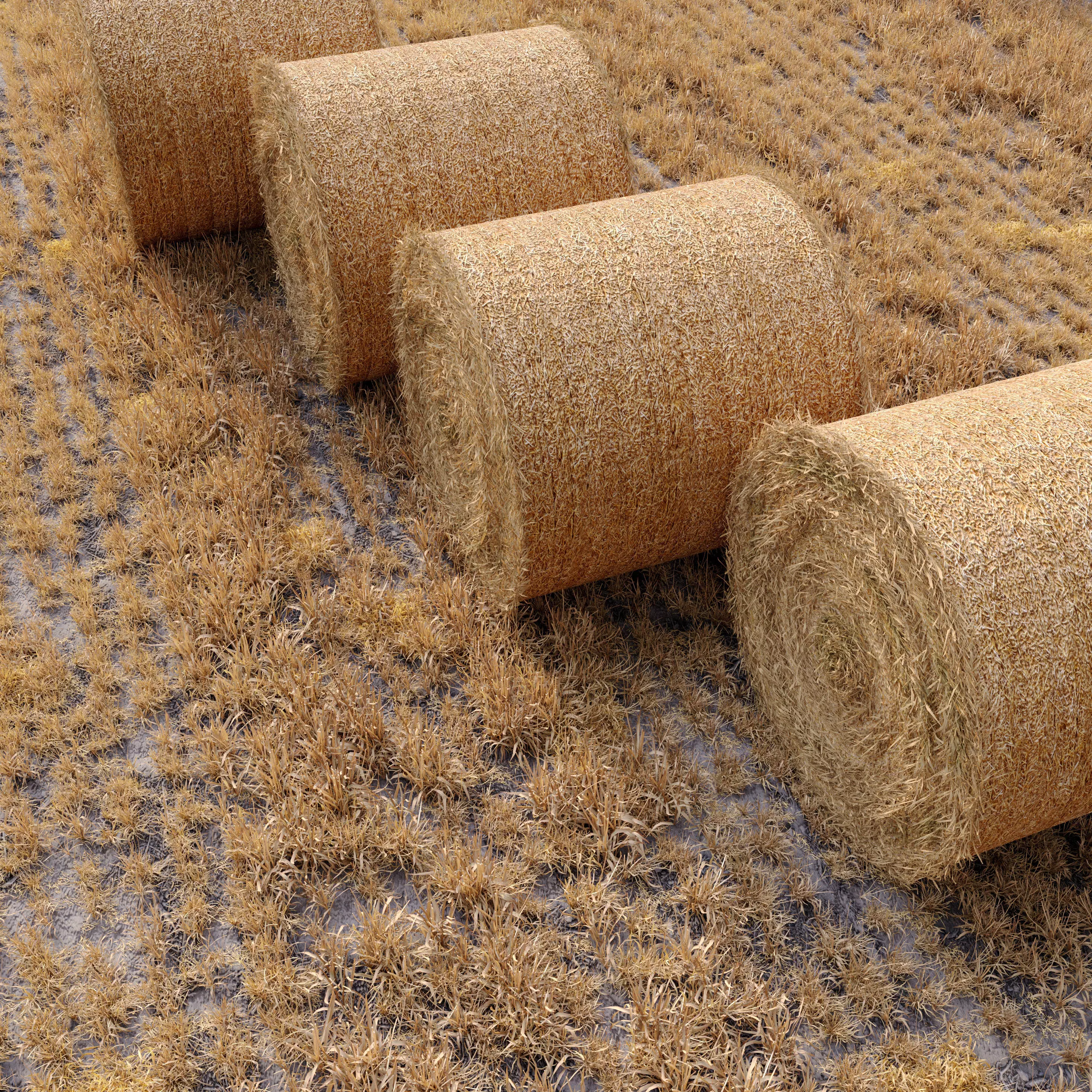 Farm field with hay bale 3D model