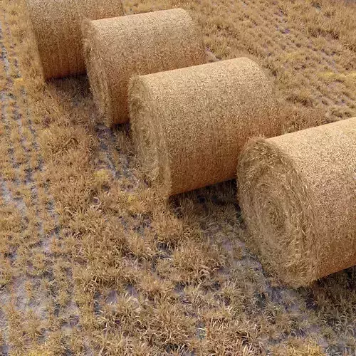 Farm field with hay bale 3D model