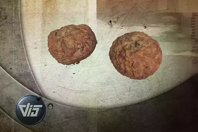 Scanned Bread Rolls 1